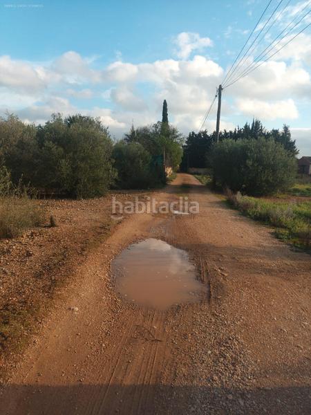 Foto 21cdcf3d-7594-4aa0-87e0-e3058cdd18c4. Fondo rustico in camí can via 17 in Santa Eugènia