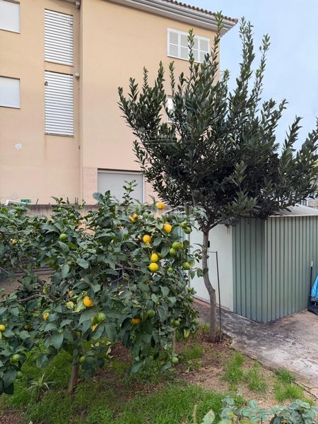 Foto a87b4e5f-6195-4848-bcfc-7b228c509722. Piso en Cristo Rey-Parque Europa Inca