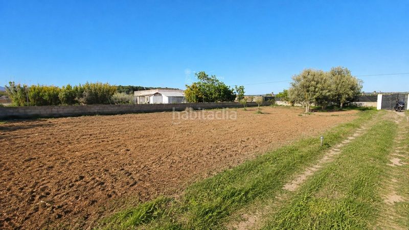 Foto 7ac59d8c-ddd3-4926-a9c6-705c362f1a28. Finca rústica a Sa Casa Blanca Palma de Mallorca