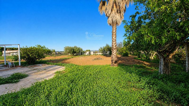 Foto e48fa2de-6233-4744-9114-d29436f5bf0d. Finca rústica a Sa Casa Blanca Palma de Mallorca