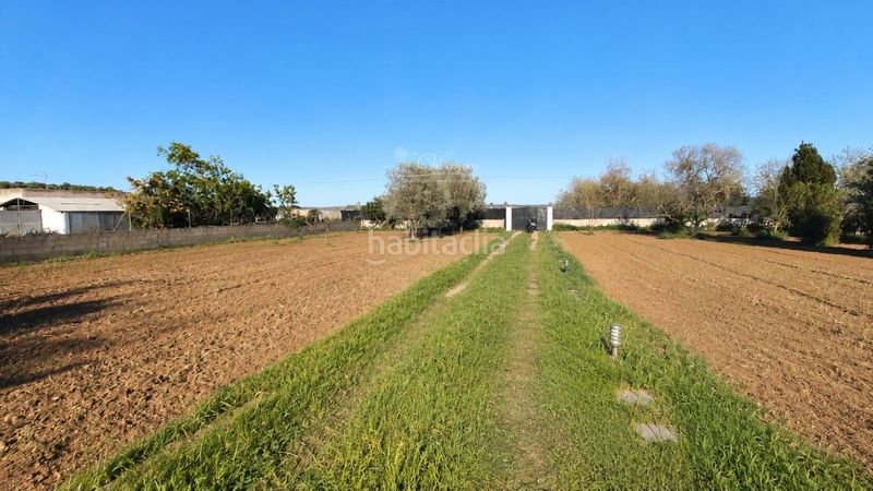 Foto ff6d0cc2-f99f-4d09-a7ab-8c874d12e3d3. Finca rústica a Sa Casa Blanca Palma de Mallorca