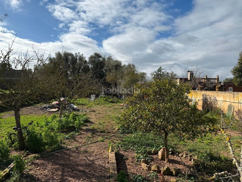 Foto bd6c06e3-2ddc-4d48-ba9a-6d5a5dd46044. Xalet amb piscina a Algaida