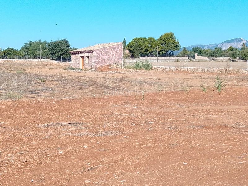 Foto 943f4087-4206-4cfa-8815-99290f89d0e2. Xalet amb calefacció piscina a Son Amonda - Reis Catòlics Inca