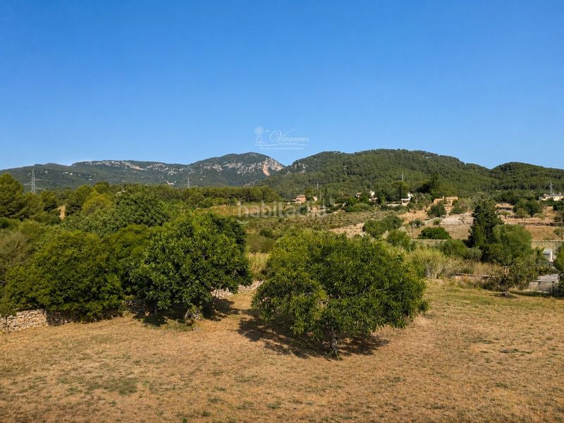 Foto 5d2fa394-fd52-4d06-aecc-09b868ae4203. Xalet amb calefacció a Establiments Palma de Mallorca