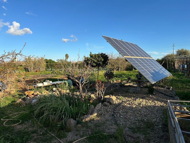 Foto 09905c89-cb53-479d-a20c-74db9dc03d6e. Xalet amb piscina a Sencelles