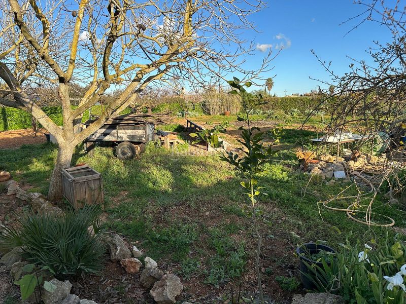 Foto 3fd70392-2db7-43e9-b164-29d70478c538. Xalet amb piscina a Sencelles