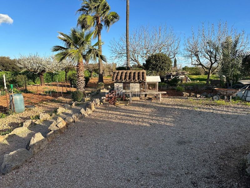 Foto 57b79a93-da43-4a00-bc59-a7acac2110b2. Xalet amb piscina a Sencelles