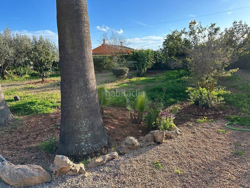 Foto 69d00b80-e282-45c3-9ad3-e3d6b5688b5a. Xalet amb piscina a Sencelles