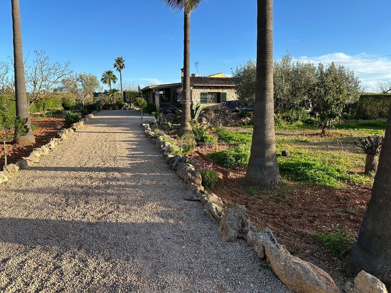 Foto 88d6705e-62d0-4919-b090-82288eb6a294. Xalet amb piscina a Sencelles