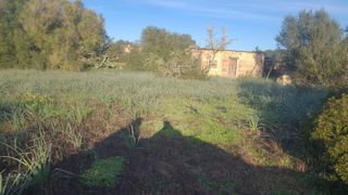 Finca rústica  N/a. Se vende finca en llucmajor, mallorca