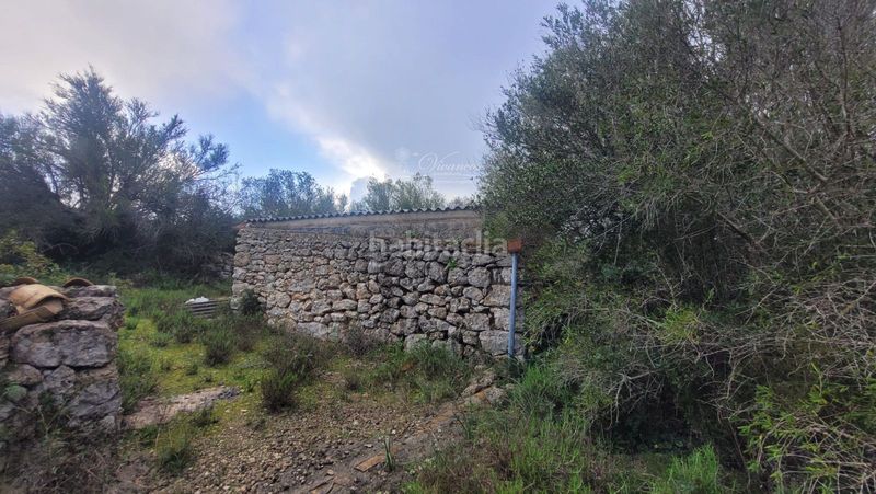 Foto 1c221ff1-7224-4565-bc1c-3b98ea01d1db. Finca rústica a Algaida