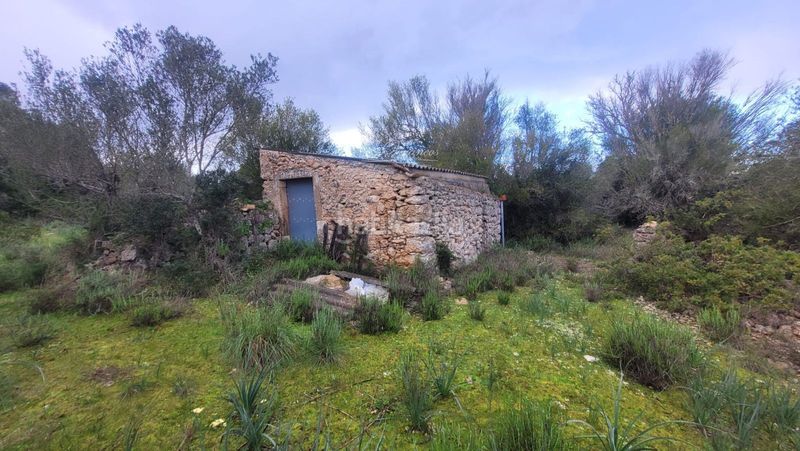 Foto 75dd2542-aa67-4fa4-afe0-3206704f1416. Finca rústica a Algaida