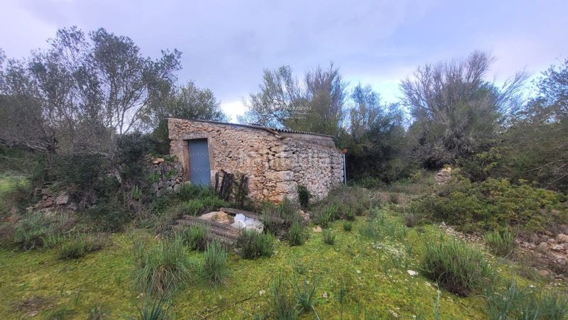 Foto 92ac918c-cfd6-4a7e-89e2-3b600aab1f3e. Finca rústica a Algaida