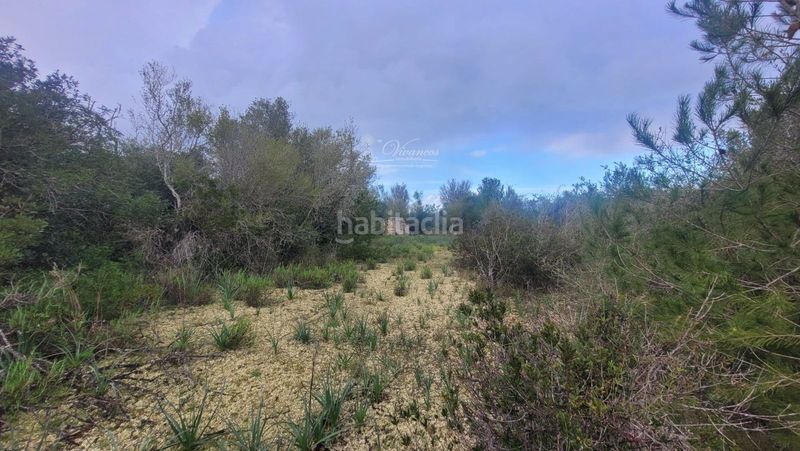 Foto a15e3343-84b4-4e13-a8e2-b0cecc162622. Finca rústica a Algaida