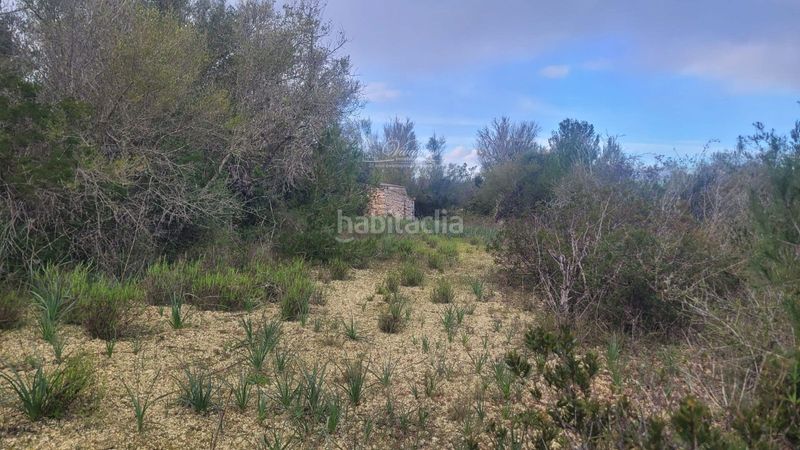 Foto d19ebdcc-70c3-46a6-94fe-55bc8d3f6267. Finca rústica a Algaida