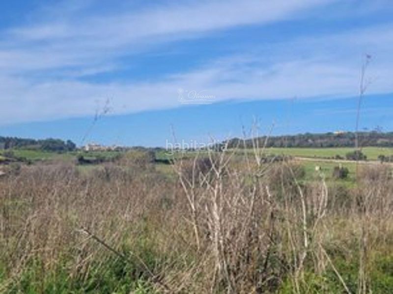 Foto 502bb6f3-e38d-4c11-9d54-9f45dce3bbfb. Finca rústica a Algaida