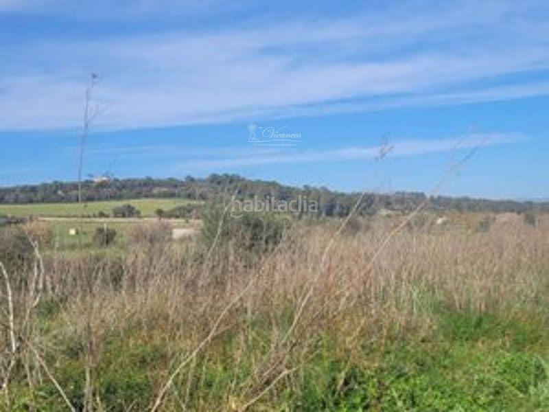 Foto 7bce4cb1-d476-4d49-b5d6-79c2c3ba4c2e. Finca rústica a Algaida