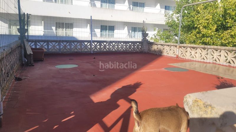 Foto 3fd4dc81-9bf3-4c1b-b5db-ba7180671e3b. Pis a S´Arenal Llucmajor