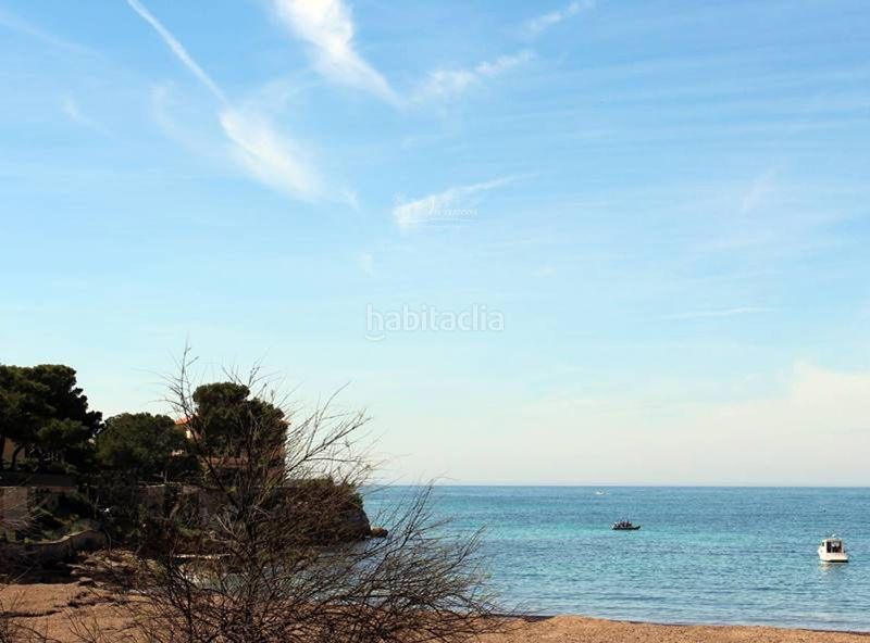 Foto 1b74c1b6-4139-4463-85ce-c0a24200b014. Pis a La Llotja-Born Palma de Mallorca