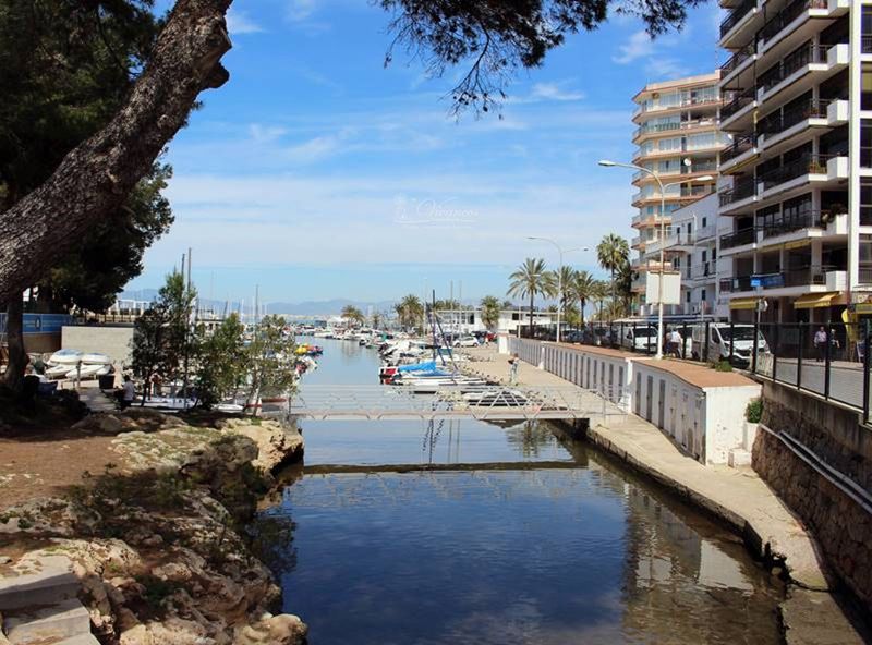 Foto 541474f6-9d05-4191-a501-866a8f1a7630. Pis a La Llotja-Born Palma de Mallorca