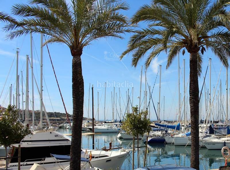 Foto 8cf1da14-aba5-4f8d-af63-f0739ce344b0. Pis a La Llotja-Born Palma de Mallorca