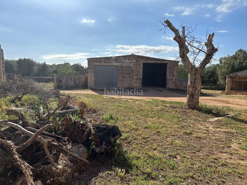 Foto 1c22a477-9adc-41c0-8080-7d518d88a24c. Chalet en Algaida