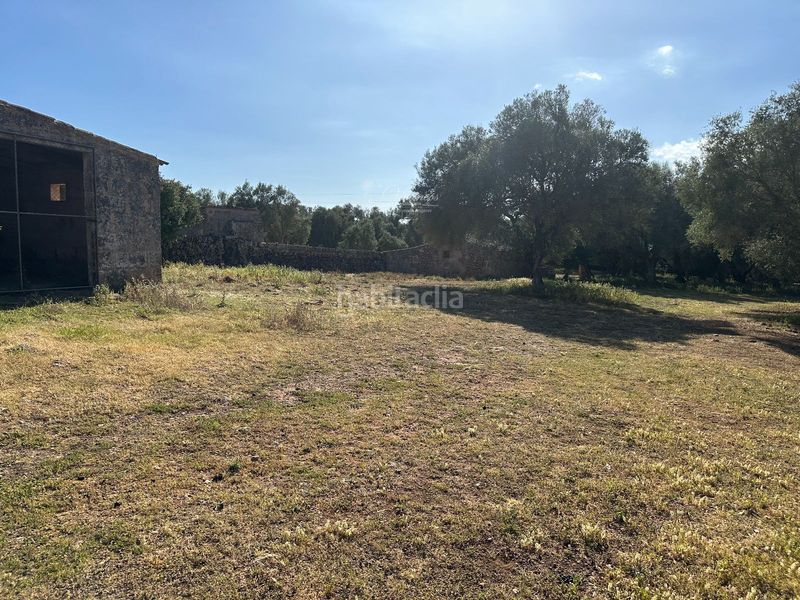 Foto 2691a917-136e-4e39-99b4-5f5b367232fb. Chalet en Algaida