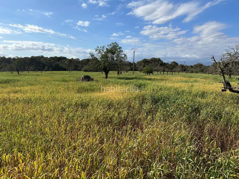 Foto 2b6b7334-d163-433a-b0e2-1b7e490243d9. Chalet en Algaida