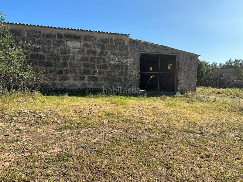 Foto 3d06a2c1-e3bd-426e-8dad-c5c84922ef0f. Chalet en Algaida