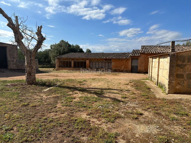 Foto 3d087cf2-accb-4636-a22e-5c061330c39b. Chalet en Algaida