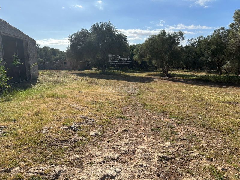 Foto 430433f7-b6c7-47b1-b400-2958622c4473. Chalet en Algaida