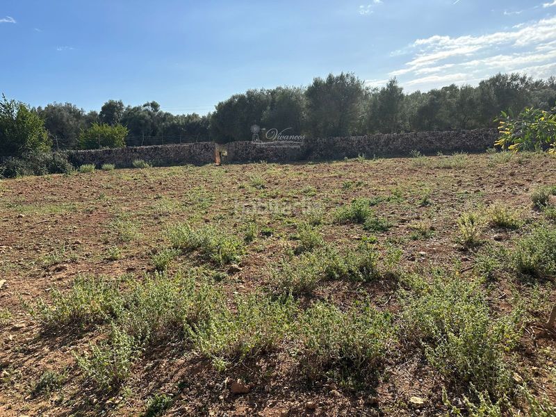 Foto 561f50b4-a292-4313-8d62-59576323b93e. Chalet en Algaida