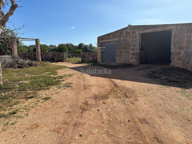 Foto e2190c79-f7b6-4504-96b1-0a82b211bfea. Chalet en Algaida