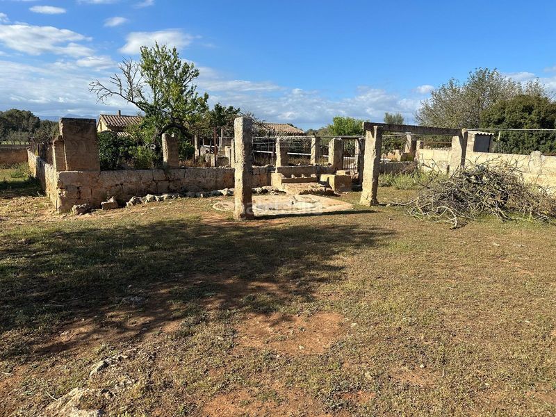 Foto ee90e357-b8ed-4b19-9eda-59a78fb54647. Chalet en Algaida