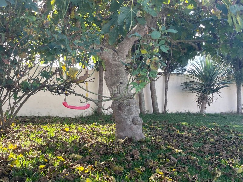 Foto e53dcf7b-111a-48fe-b506-a63560fd9ad2. Xalet amb aparcament piscina a Es Pil·larí Palma de Mallorca