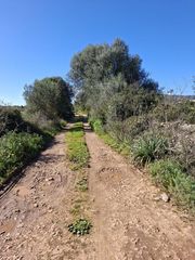 Finca rústica  N/a. Se vende finca rústica en santa eugenia