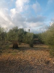 Finca rústica a N/A