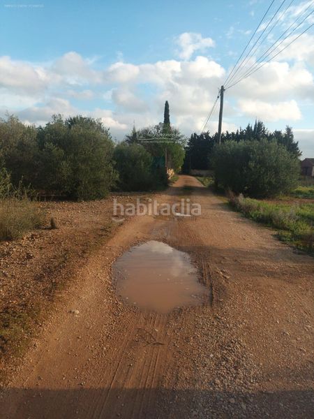 Foto d8410565-f9c4-4ff4-a4a4-72d66ef04054. Finca rústica a Santa Eugènia