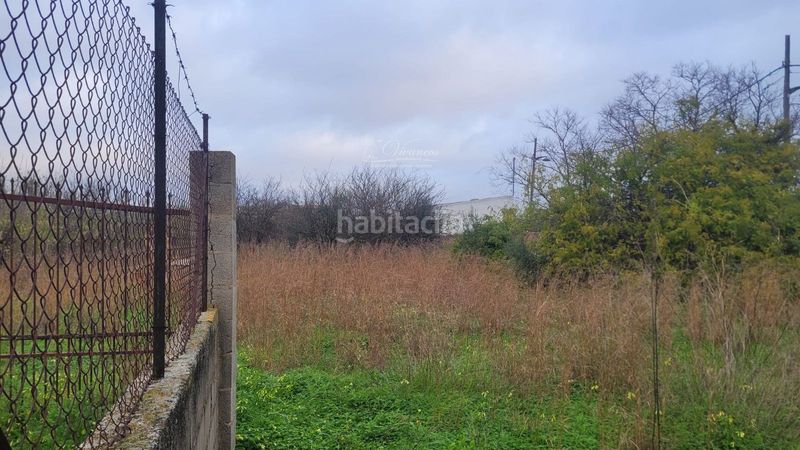 Foto 0e946f39-367e-438e-9a17-e3c93c3ec49d. Finca rústica en Marratxinet Marratxí