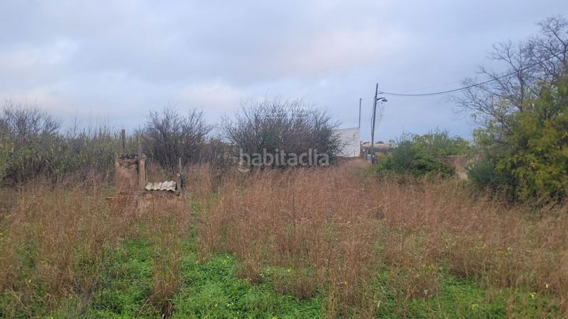 Foto 189a7db4-dc79-439d-a2fd-7afe4998ed5b. Finca rústica en Marratxinet Marratxí