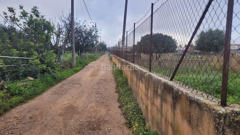 Foto 5eca2fbc-cdb0-42f3-9425-6cf73692226e. Finca rústica en Marratxinet Marratxí