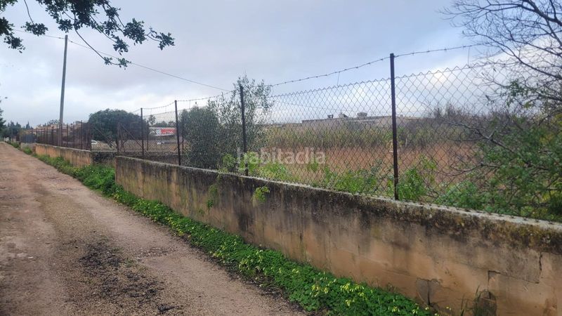 Foto 74b85ab3-e91e-481c-a283-c94497435198. Finca rústica en Marratxinet Marratxí