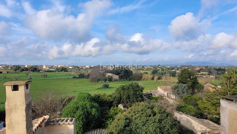 Foto 7181252a-e4dd-47bf-a3e9-369315499dfe. Xalet a Algaida