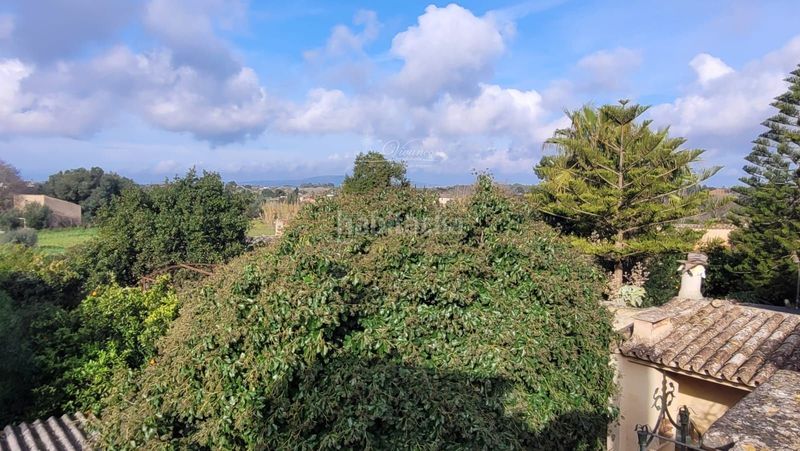 Foto 80486582-fe0d-4924-9653-eff6450961ab. Xalet a Algaida