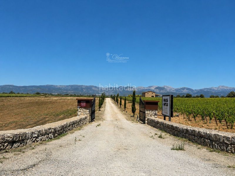 Foto e8f47981-4a89-46bc-85db-c91b200c087e. Casa adossada amb aparcament a Sencelles