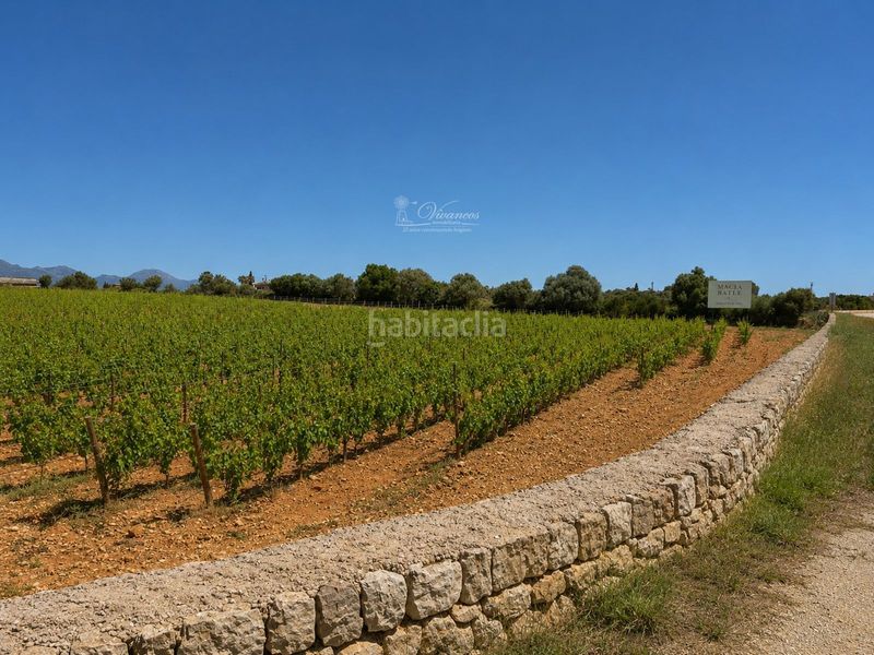 Foto fa7cf74c-605f-4249-abec-febd17de7209. Casa adossada amb aparcament a Sencelles