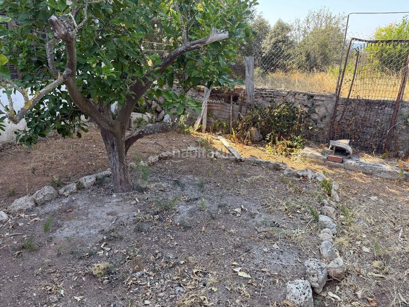 Foto a4d11898-bae9-48a7-9d3b-41f435fc6403. Xalet a Algaida