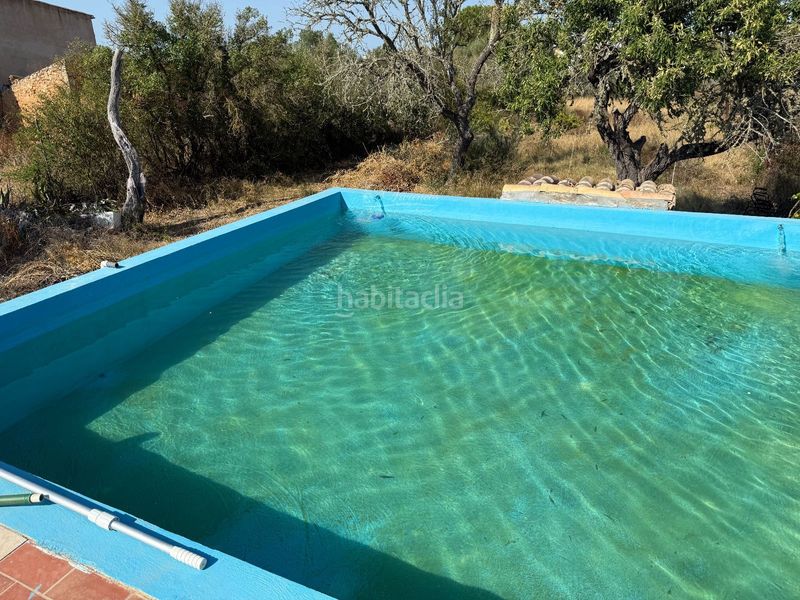 Foto ab66b63f-c598-4b20-918d-f967c501843e. Xalet a Algaida