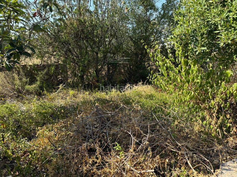 Foto b1beb2c7-f792-4d9a-8c20-d8ca920d7565. Xalet a Algaida