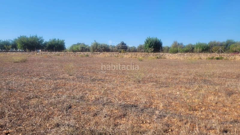 Foto 048eeb17-3f05-4896-b3db-7caf929b380f. Finca rústica a Algaida
